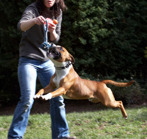 Wheee, I'm flying