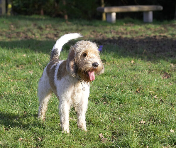 Now, what's that Alfie up to?