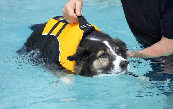 Sam Swimming