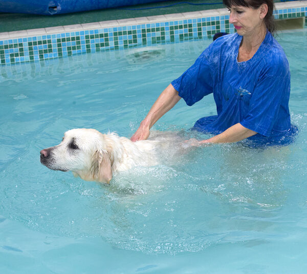 Jayjay Enjoying A Bit of a Swim
