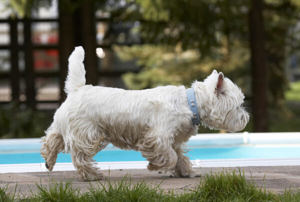 Jus' checking out this territory