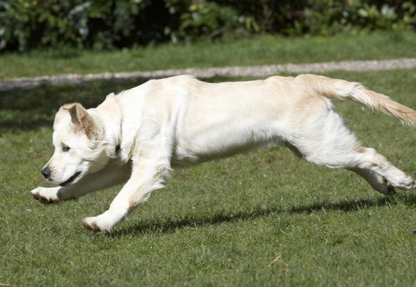 Full stretch .......