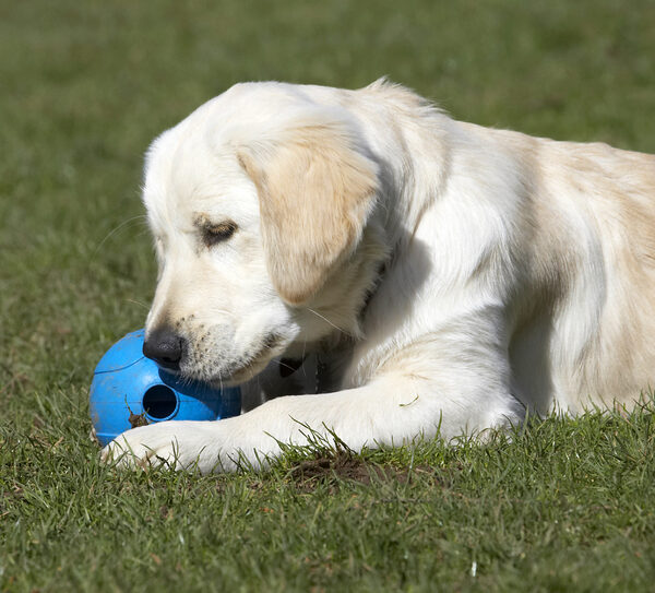 I just love this ball .........