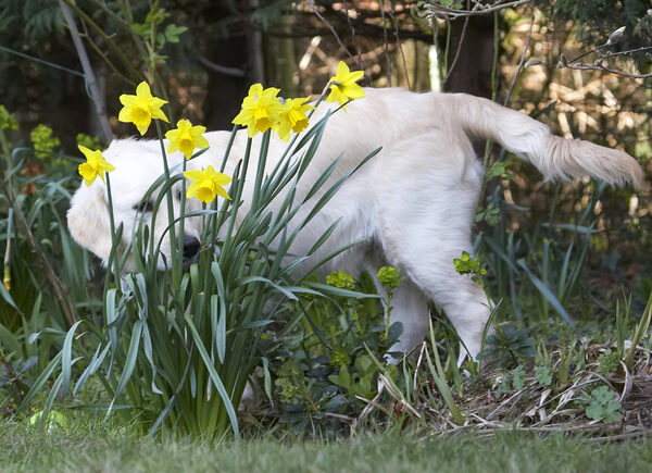 Oooh, these smell good