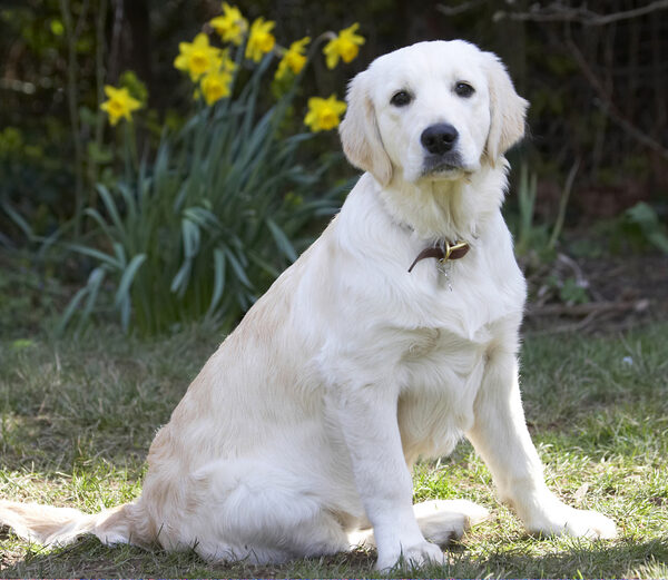 I know, I'm a handsome dude