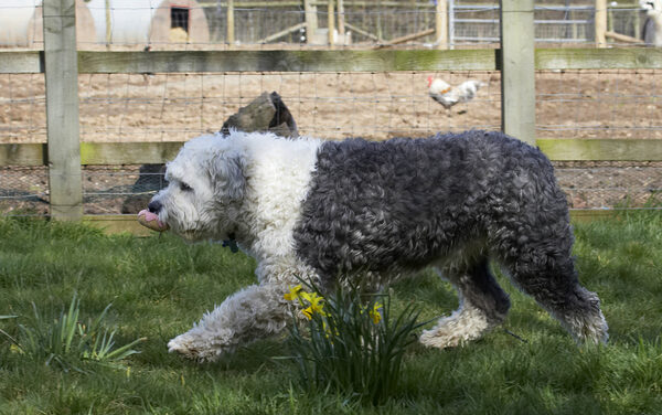 Aha, I got the ball