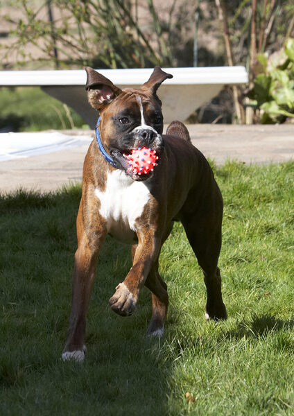 I'm bringing the ball back for another throw