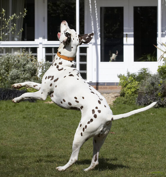 Steady does it