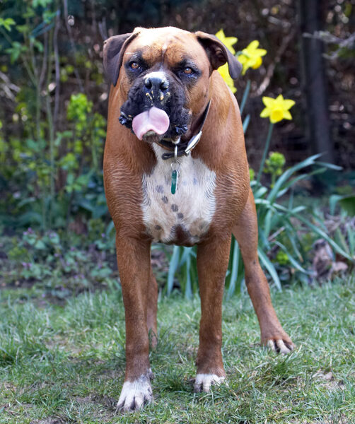 I AM exercising - my tongue!!
