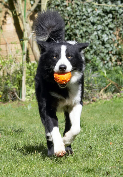 Here I come ..........