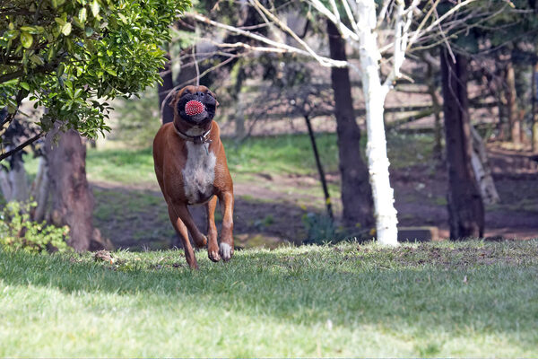 ......... running