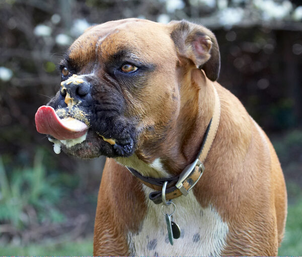 Gotta get that last bit ...........
