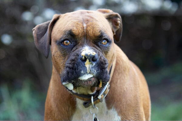 Go on, admit it, I AM handsome!!
