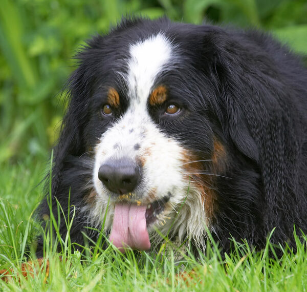 Hey, you gotta get every last crumb!