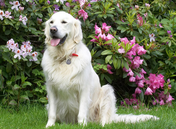 I know how to pose!