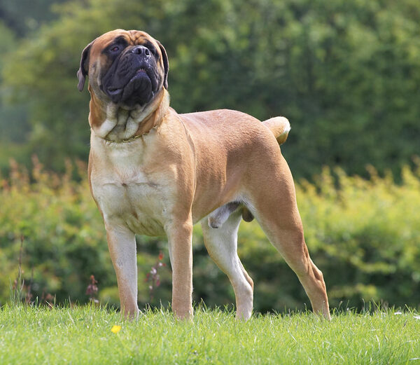 I know, I know, I'm just one handsome guy
