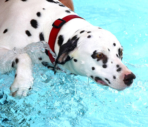 Mia Having Her Swim