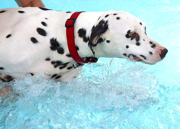 Mia Doing More Splashing Than Swimming
