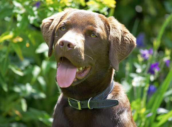 OK, I'm posing, when do I get my reward?!