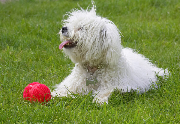 Yep, I got the ball