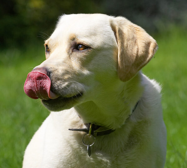 I knew there was some on my nose