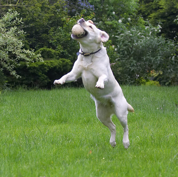 Look, I'm almost airborne