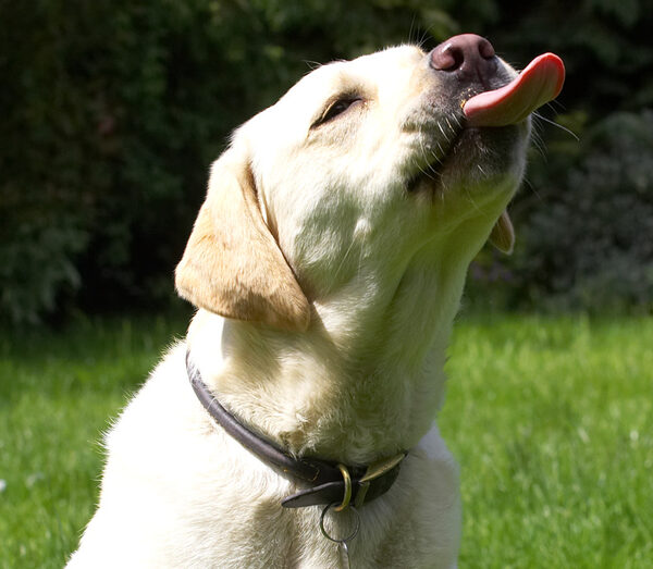 Is there some on my nose?