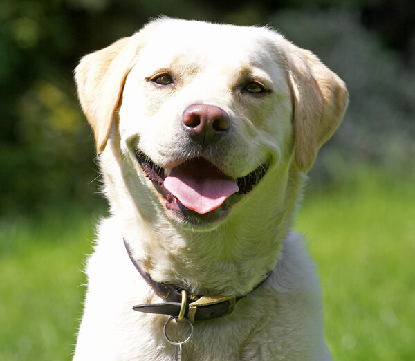 Isn't this a cute smile