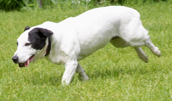 Catch me if you can!