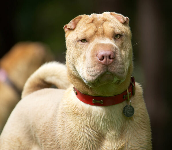 Who's a handsome dude then!