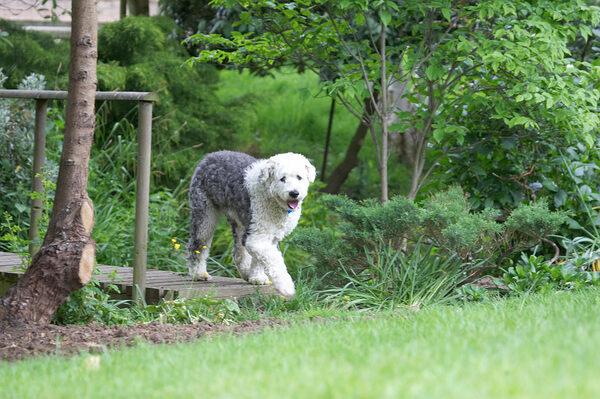 Whaddya mean "I look guilty"?  I've just been exploring