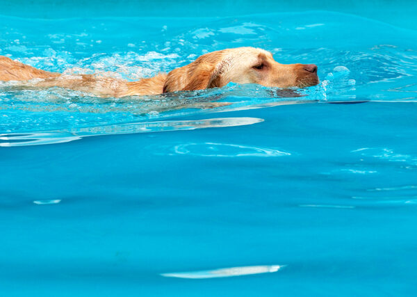 .......... now, jus' gotta get ...............