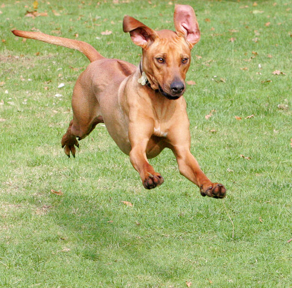 Kila mid-flight