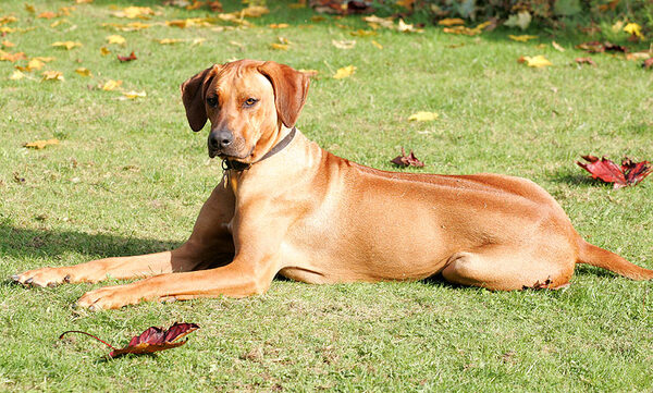 Kila looking very queenly