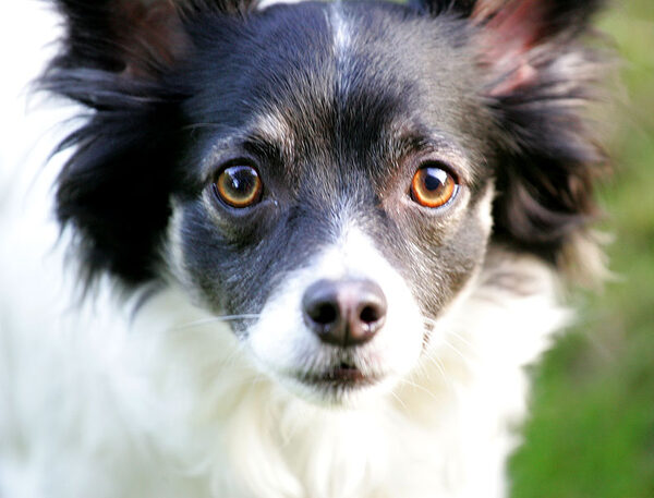 Matt ready for his close-up