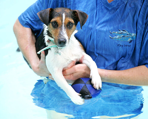 Jake in the Pool