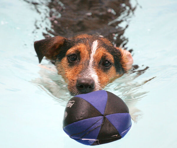 Jake and the Floating Ball
