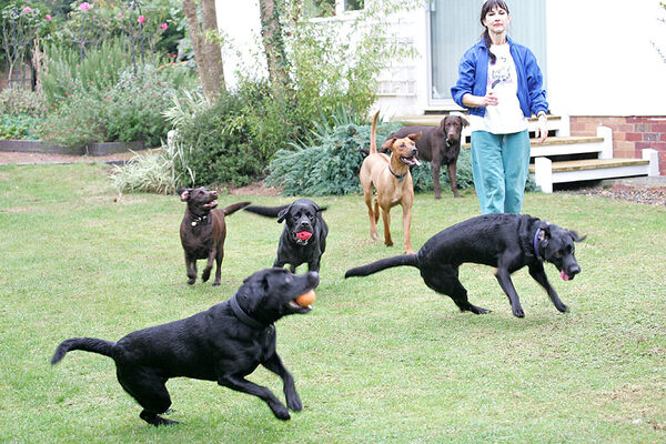 Play time chez Lucies Farm