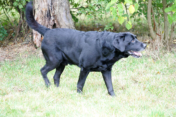 Cole having a mooch