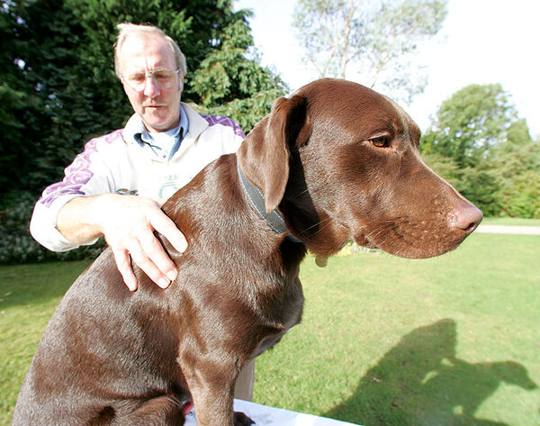 Branston Having A Massage