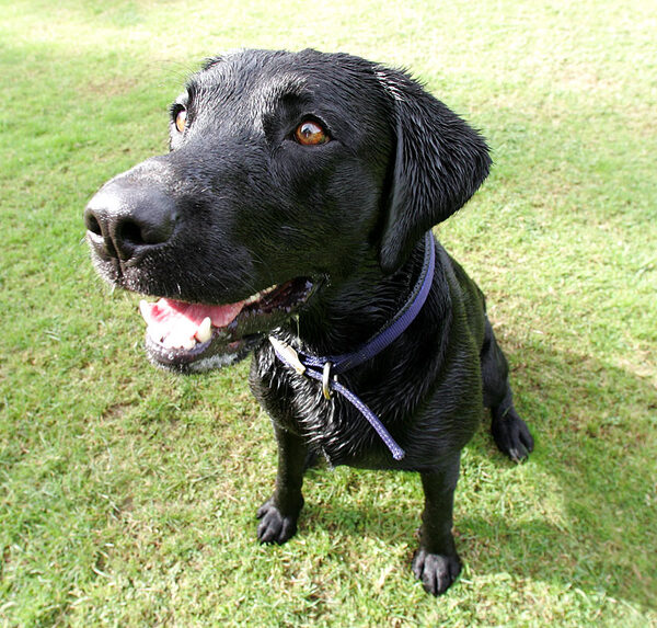Harvey looking cute!