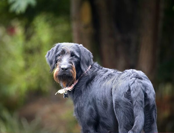 .... well, what!