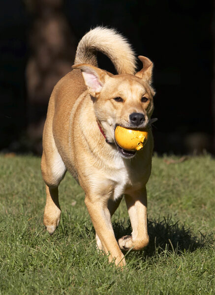Yeah, I got the ball