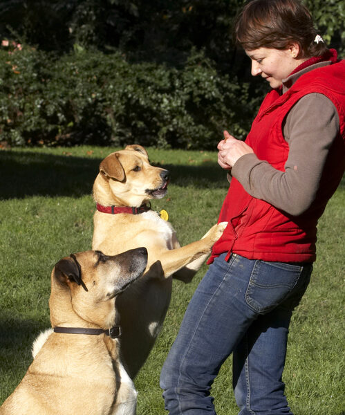 Hand over, NOW