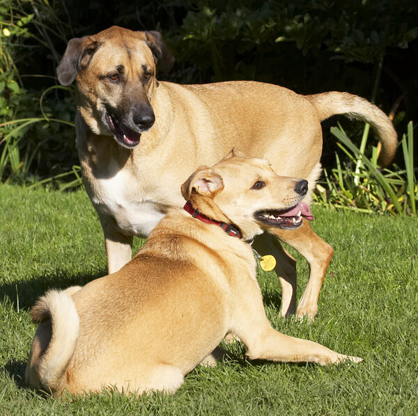 Wot?!  We were only playing