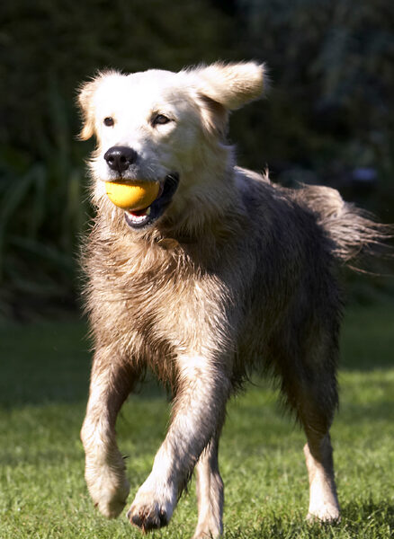 Look, I can hold this ball forever