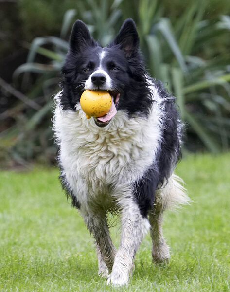 Get ready for another throw