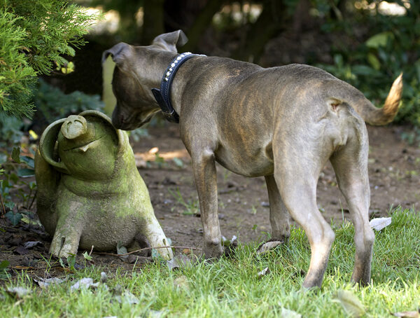 Wot's this?!