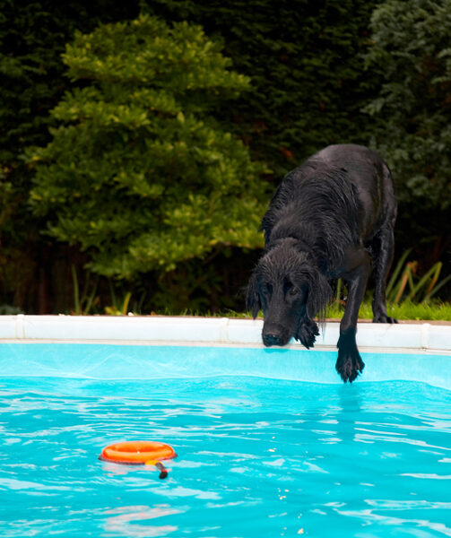 Now, can I get this without going in?