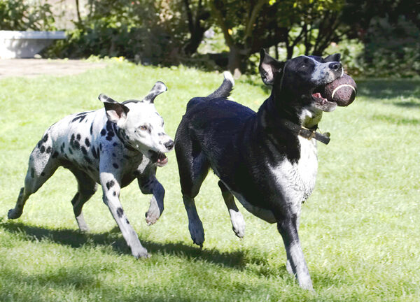 Stop hogging the ball
